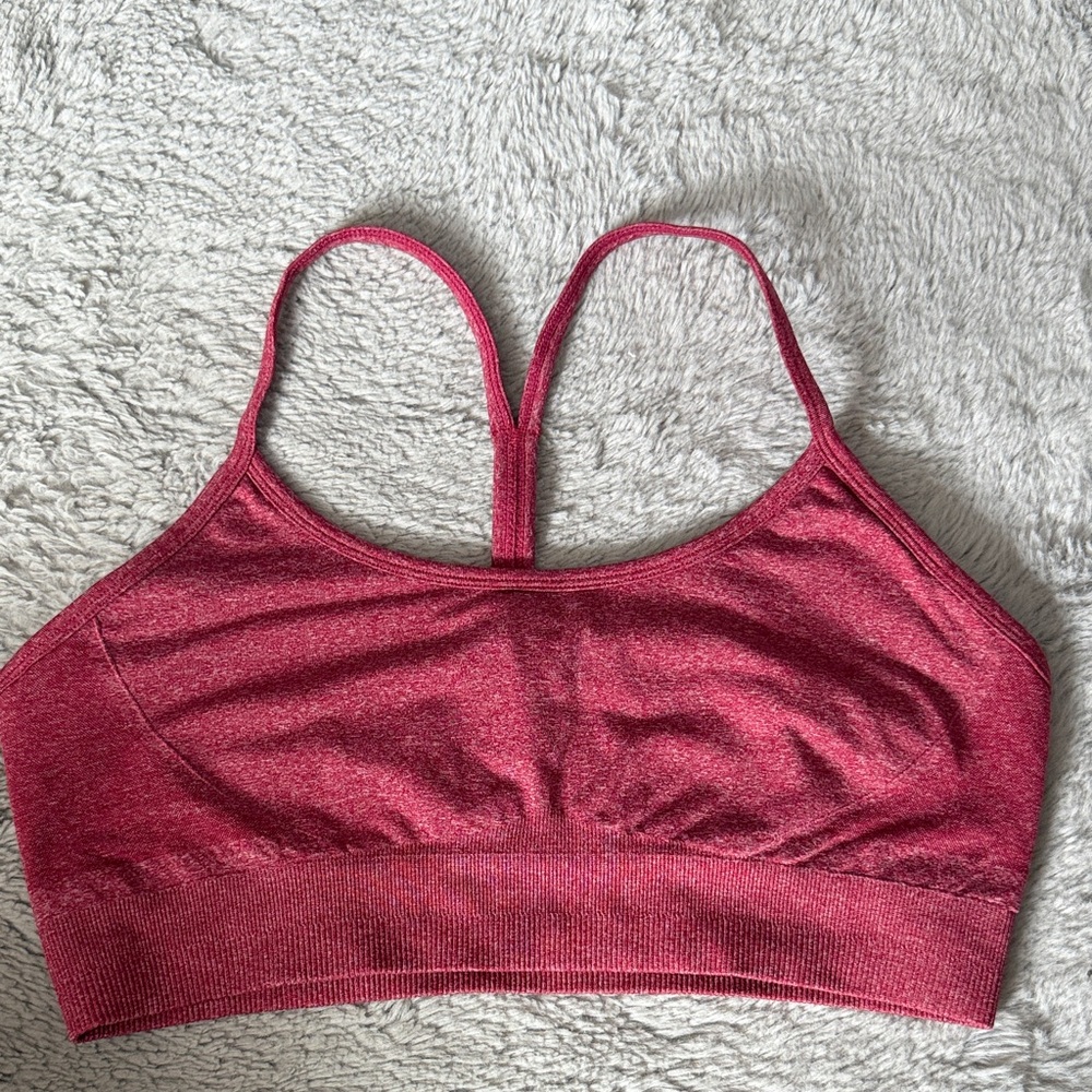 AYBL Raspberry Sports Bra